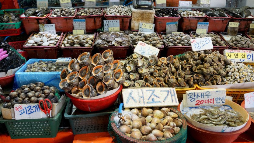 \&quot;DSC06291.JPG&quot;