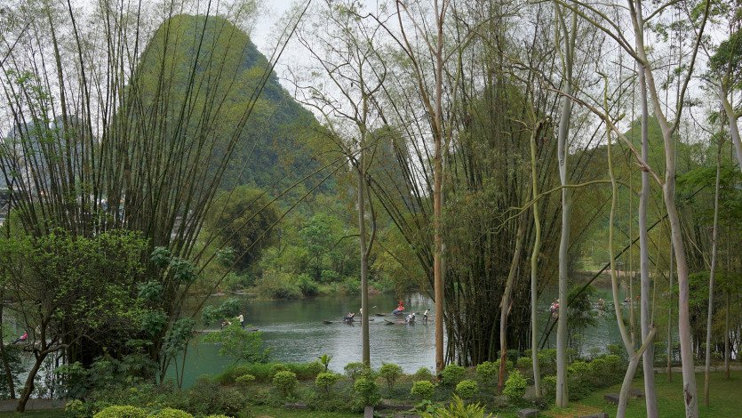 \&quot;DSC06099.JPG&quot;