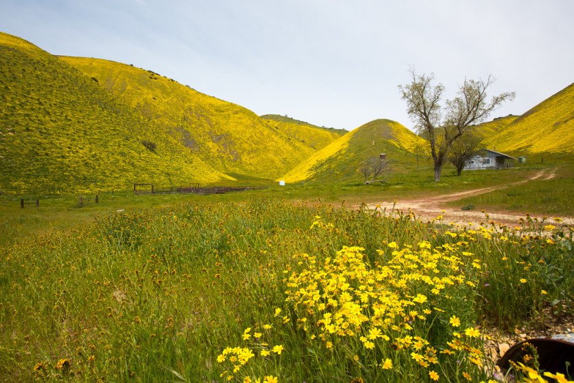 \&quot;Carrizo042019