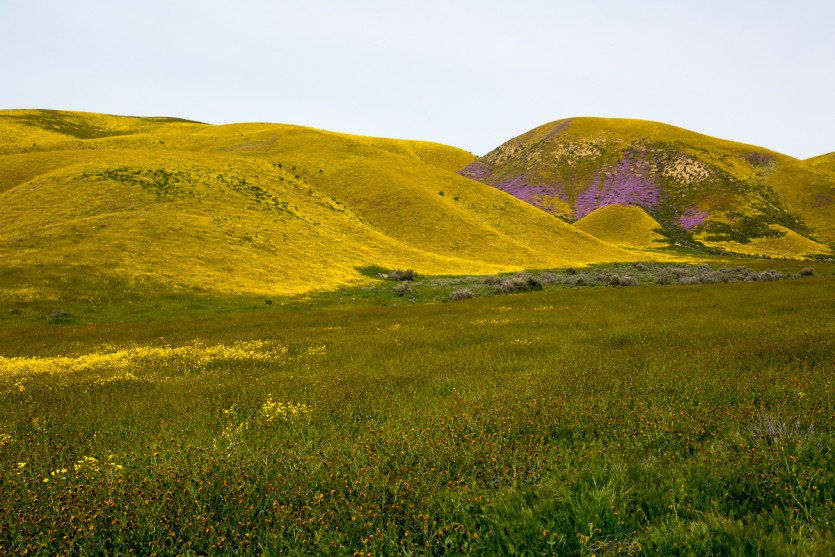 \&quot;Carrizo042019