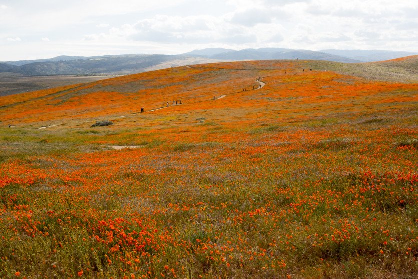 \&quot;Carrizo042019