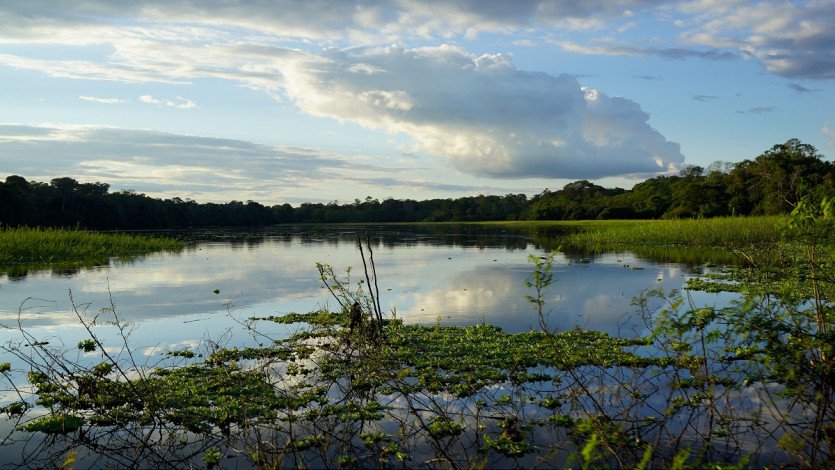 \&quot;DSC05555.JPG&quot;