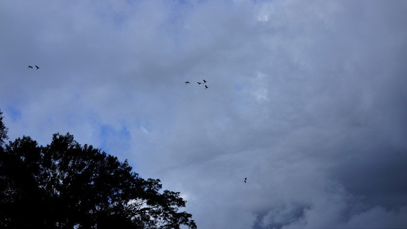 \&quot;DSC05654.JPG&quot;