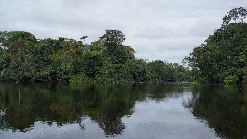 \&quot;DSC05593.JPG&quot;