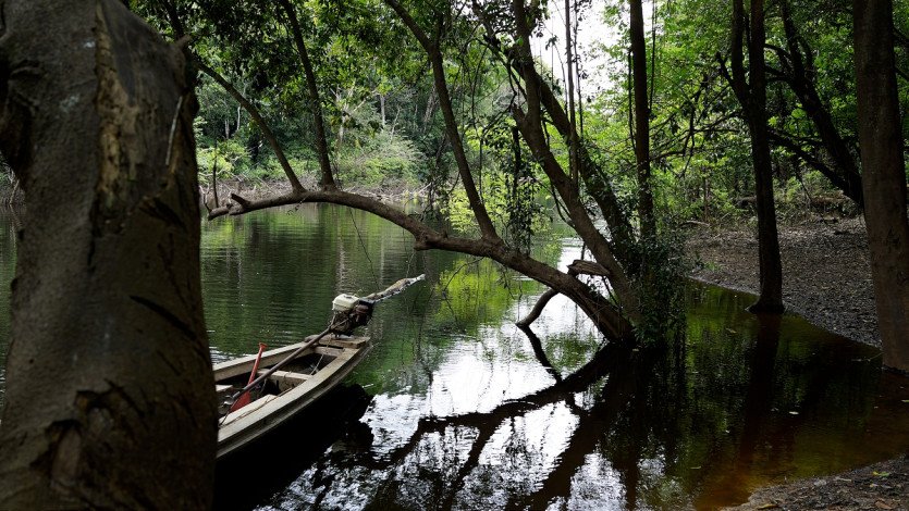 \&quot;DSC05603.JPG&quot;