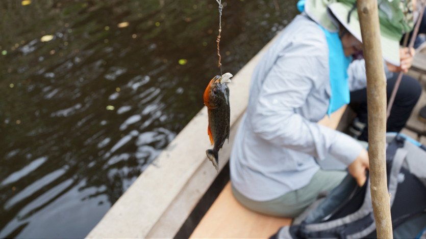 \&quot;DSC05616.JPG&quot;