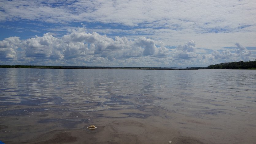 \&quot;DSC05537.JPG&quot;