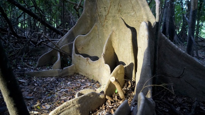 \&quot;DSC05562.JPG&quot;