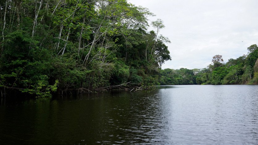 \&quot;DSC05590.JPG&quot;