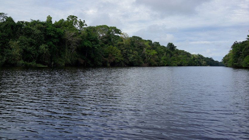 \&quot;DSC05585.JPG&quot;