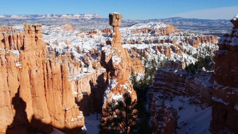 \&quot;15799969_1414709815207136_708499232802187764_o.jpg&quot;width=\&quot;1396\&quot;