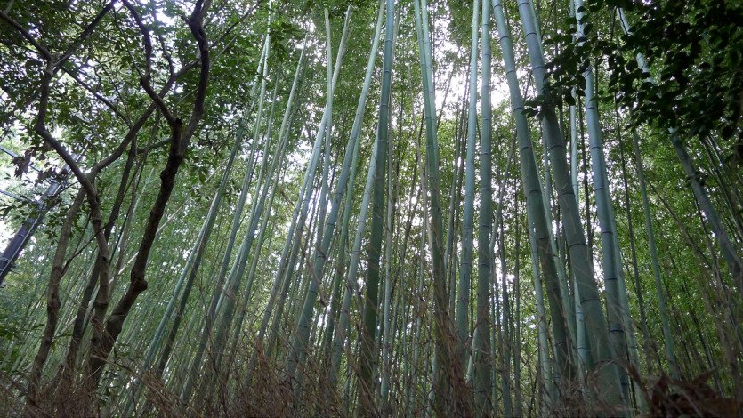 \&quot;17-2.JPG&quot;