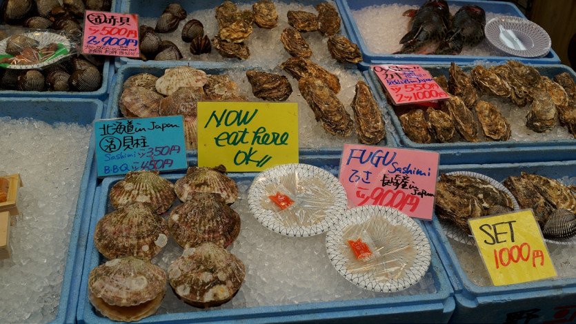 \&quot;DSC04310.JPG&quot;