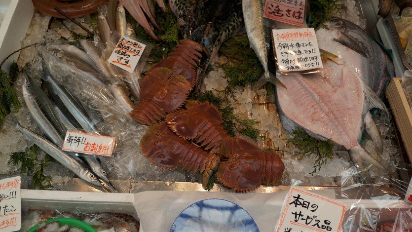 \&quot;DSC04312.JPG&quot;