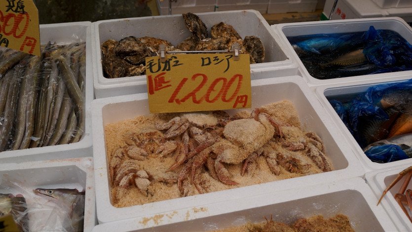 \&quot;DSC04316.JPG&quot;