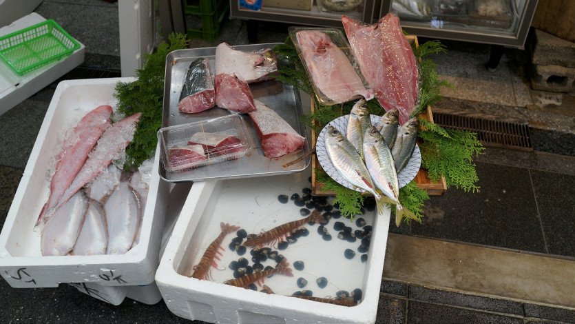 \&quot;DSC04320.JPG&quot;