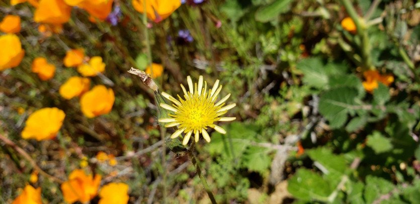 \&quot;54279027_2412913198720121_3829417610189996032_o.jpg&quot;width=\&quot;1609\&quot;