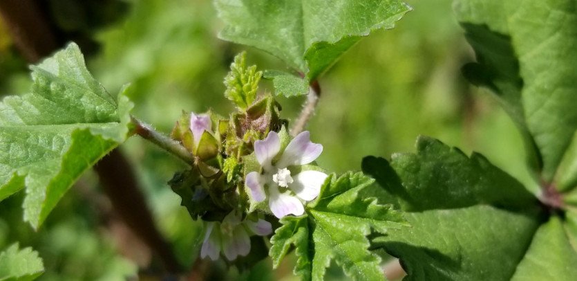 \&quot;54254987_2412913625386745_3143456958732828672_o.jpg&quot;width=\&quot;1609\&quot;